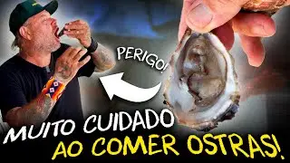 O PERIGO DAS OSTRAS CONTAMINADAS: CUIDADO COM A SUA SAÚDE!