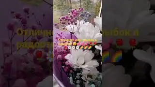 Отличного дня, улыбок и радости! 