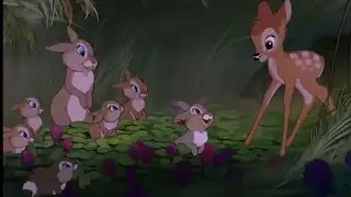 Bambi and Thumper’s cute moment | Bambi 1