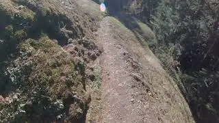 Alpine Trail 10-29-17
