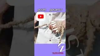 Гусен стало бедный едит эшшакей