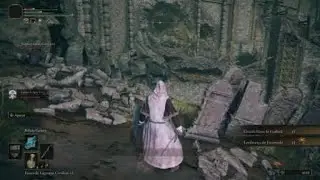 ELDEN RING - Ion Cannon vs Godrick