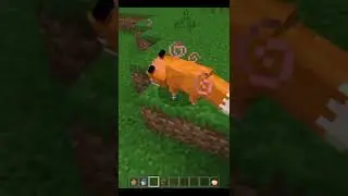 Top 3 Myths about Minecraft that you should know 🔥#shorts