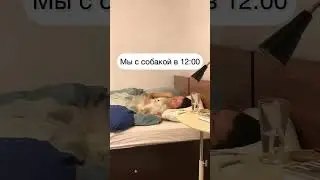 Зачем вы куда-то идёте? Вы не умеете лечь и лежать? 