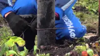 типы винтовых свай