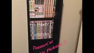 The start of my manga collection!