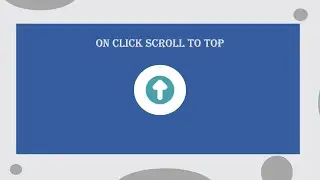 Scroll to Top 
