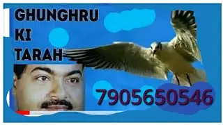 Ghunghroo ki tarah /play back singer/ anoop seth