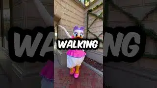 📷Real DAISY DUCK Caught On Camera📷
