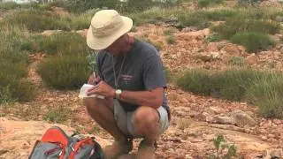 Sea Change: How High Will Waters Rise? Part 1 - In The Field