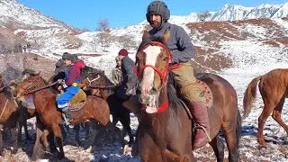 ЧИЛДАРА МУСОБИКАИ БУЗКАШИ (ДЕХАИ ПАШОР) ПОЛНОЕ ВЕРСИЯ.