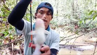 Mancing Baung di Sungai Keruh