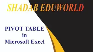 Pivot Table in Microsoft Excel