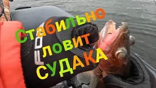 Рыбалка на судака - Осень 2022.
