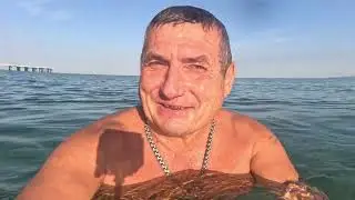 #Анапа. Сегодня 17.08.2024.Чёрное море. Пляж «ЭЛАДА» Утро 7.00 Воздух 25 Море 24 Дельфин Яша.2 часть