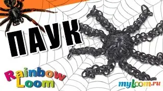 ПАУК из резинок Rainbow Loom Bands на Хеллоуин. Урок 385 | Spider Rainbow loom