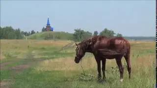 Пойма реки Иртыш в районе Берегового