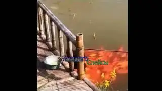 Андарго и спейсы 3