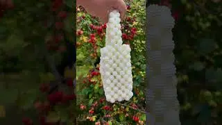 Стоимость сумочки 5500руб.