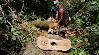 CHECK OUT❗❗ Forced to mill heavy logs in the water// how does it goes❓❗❗