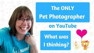 The ONLY Pet Photographer on YouTube - First Year TALES