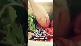 Reduce tu huella de carbono cultivando tus  propios alimentos