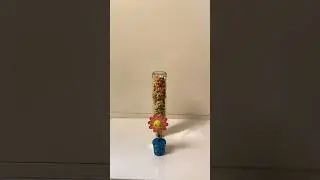 Quick But Satisfying Beads Reverse Video #asmr #trending #shorts
