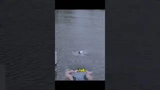 Waterproof 7 inch 