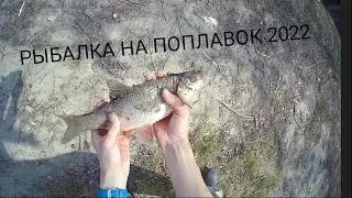 ТОЛЬКО ЗАБРОСИЛ ПОПЛАВОК, И УЖЕ КЛЮЁТ! ЯЗЬ! РЫБАЛКА НА ПОПЛАВОК В РУЧЬЕ