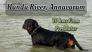 Kundu river tour with #SultanTheRottweiler | Proddatur | Annavaram | Madur | Kadapa