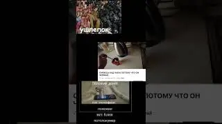 #мем