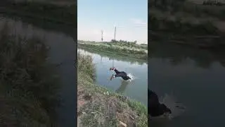 кишлок даври