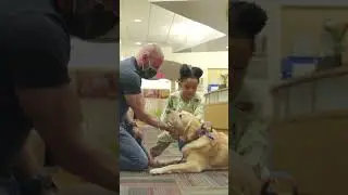 My dog went to the hospital!