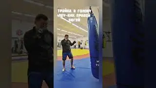 5 ноября 2023 г.