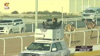 ملخص أشواط الجذاع العامة بالمحلي السابع (صباح) ١٥-٢-٢٠٢٠