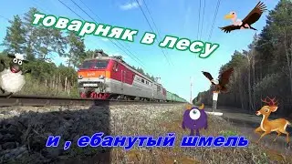 ВЛ10 1525 товарняк в лесу улетел я по приколу