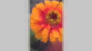 4 of 5 - How to Use Adobe Comp CC on an iPad