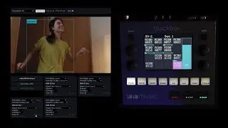 Object Detection MIDI Controller ➡ Blackbox Sampler [free samples download in description]