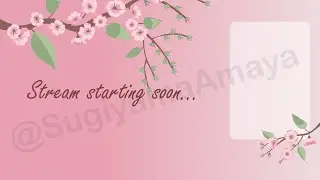 Cherry Blossom Starting soon