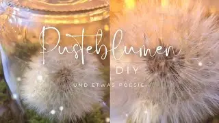 Pusteblumen DIY