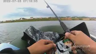 Бердь в поисках летнего судака.