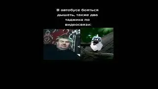 Таджики ругаются по скайпу , какой ужас