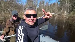 Чаща Гатчинский район сплав  по Кременке от моста до снт Волна 2022