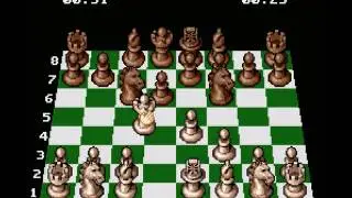 The Chessmaster 1991