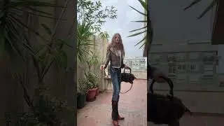 femboy ever dance to you 