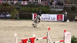 Padock du Plessis et Timothée Anciaume - Vainqueurs GP CSI3* de Saint-Lô