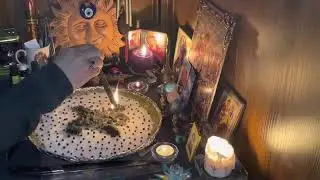 Toad Healing Cleansing! With Reversal and Protection!!!