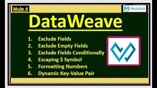 DataWeave Exercise Series - Part 2 - Techniques on Handling Input Fields