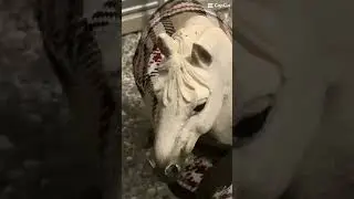 Hellolo it’s WEEE