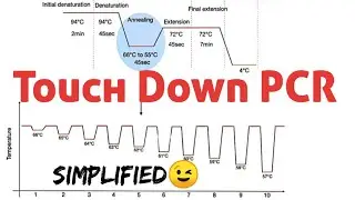 TouchDown PCR #Types of PCR #pcr variations